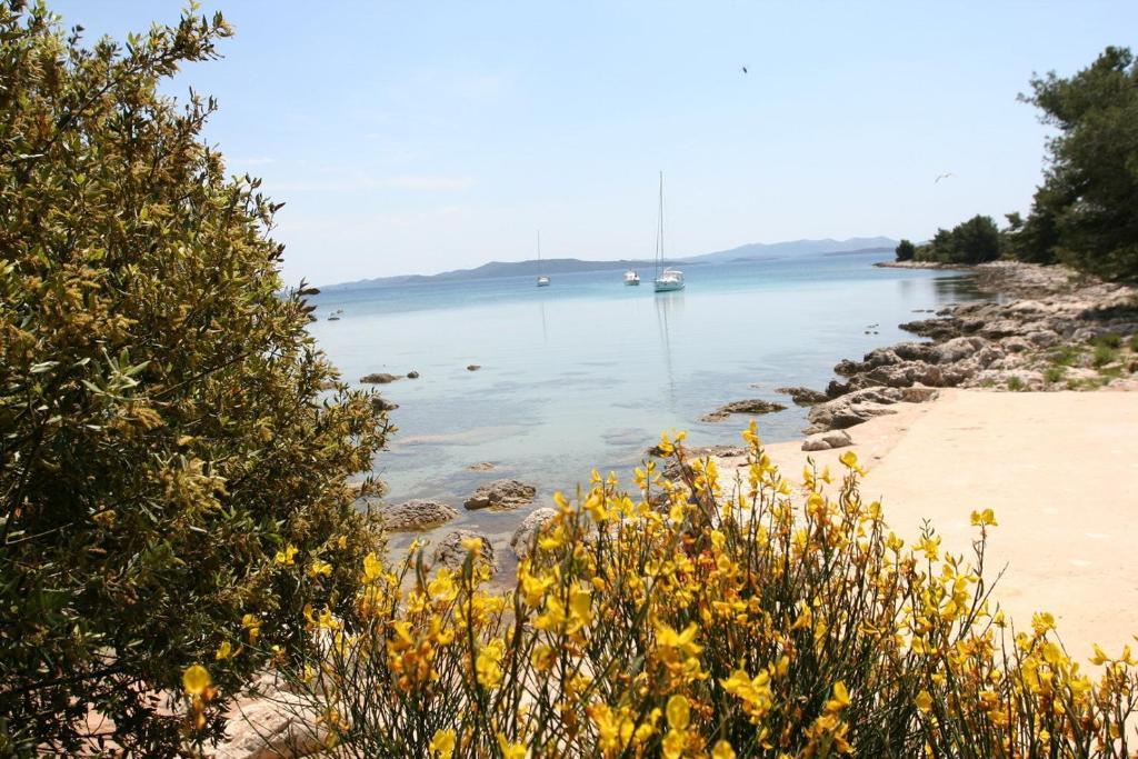 Apartments Rozelyn Ugljan Εξωτερικό φωτογραφία